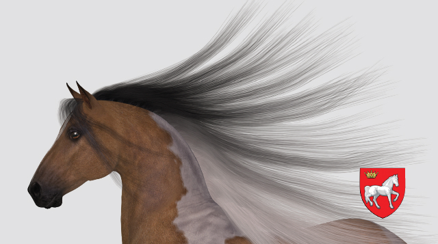 Horse mane wild in the wind