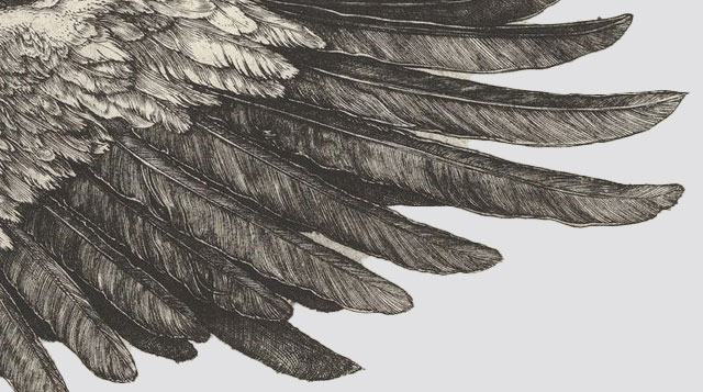 Wing